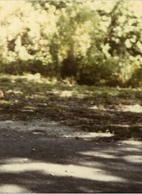 Jeune coureur en tenue vintage courant sur un chemin ombragé